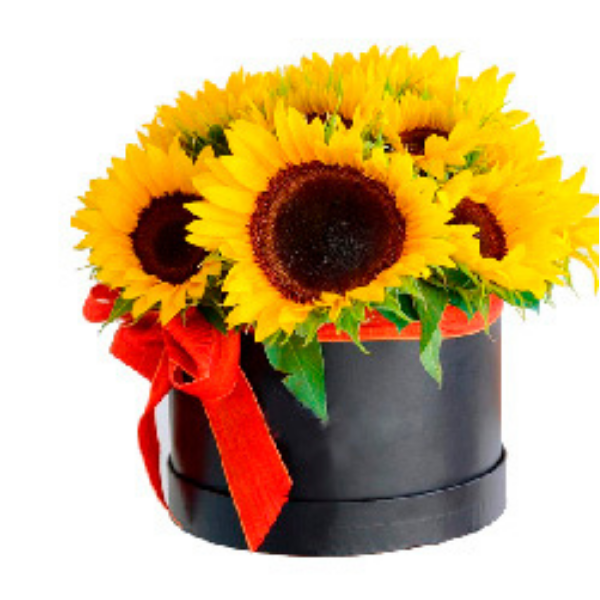 Arreglo Floral en Caja de 16 Girasoles