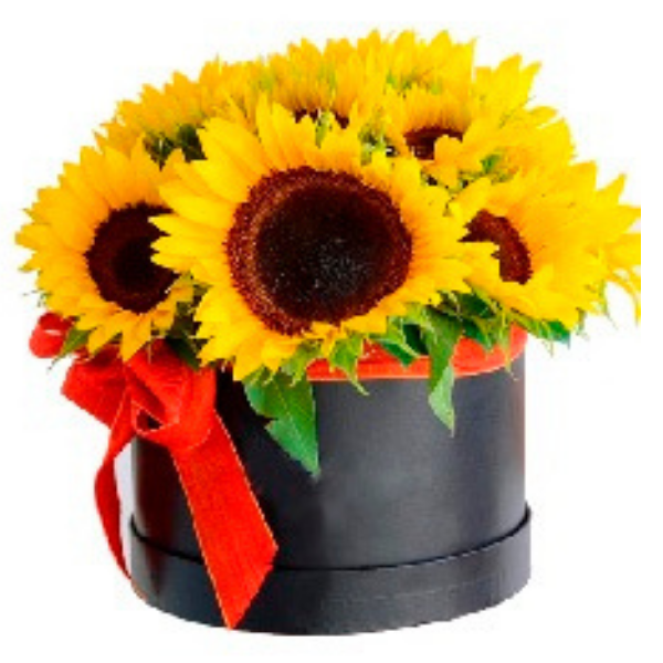 Caja 16 girasoles