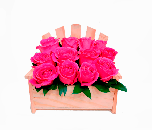 Silla 12 rosas