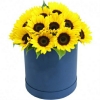 Arreglo Floral en Caja de 16 Girasoles