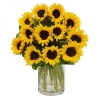 Arreglo en Cristal de 24 girasoles