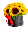 Arreglo Floral en Caja de 16 Girasoles