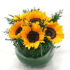 Arreglo Floral Bowl Girasoles