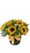 Arreglo Floral 12 Girasoles En Cerámica