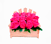 Silla 12 rosas